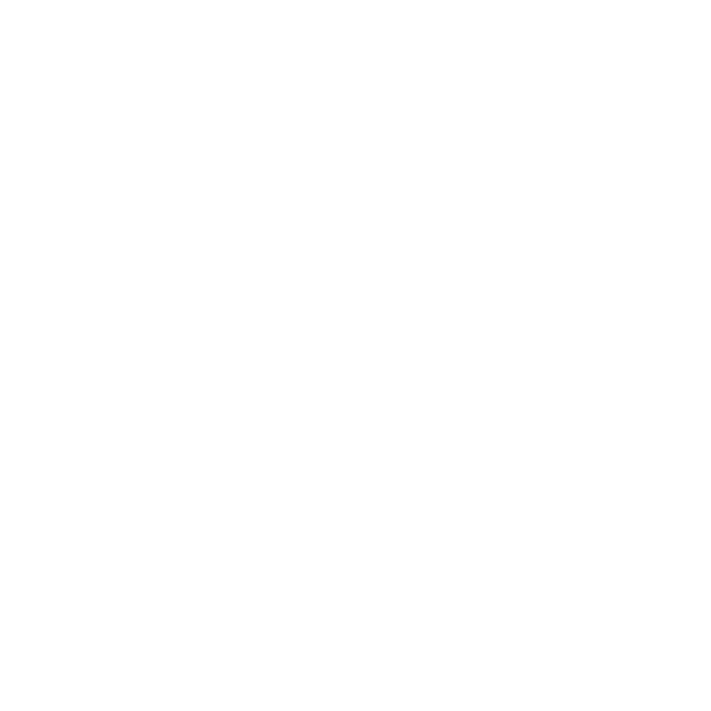 Logo Dygnus Premier