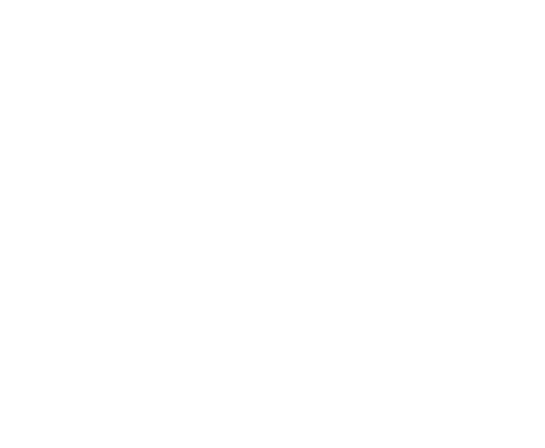 Logo Plenus PDV