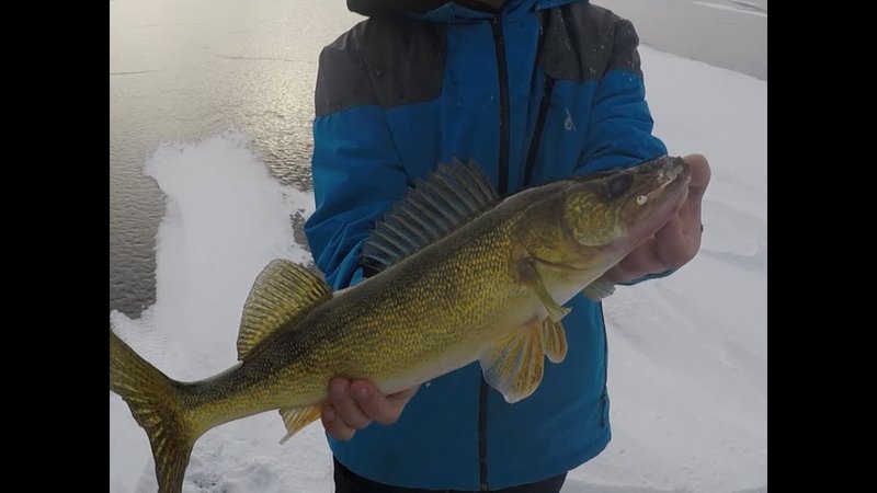 A look at ice fishing gambling game